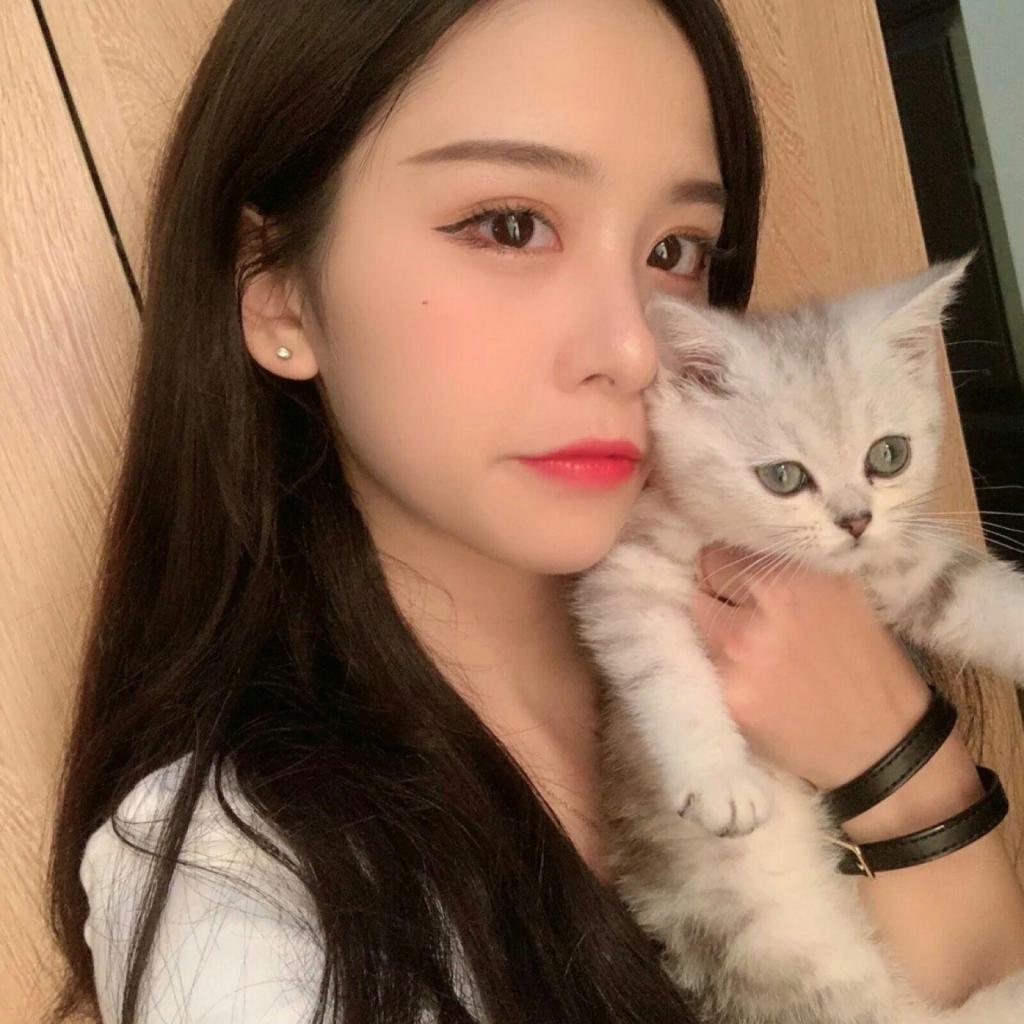 香港最准资料免费公开